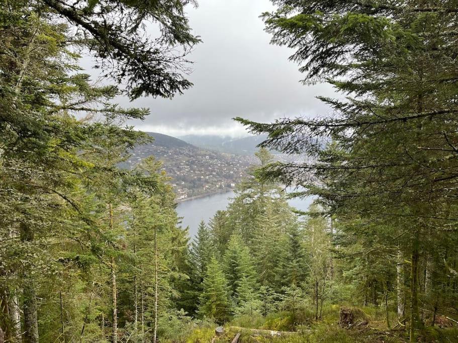 Chalet 3 Etoiles A Gerardmer. Dış mekan fotoğraf