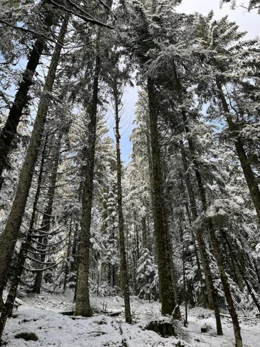 Chalet 3 Etoiles A Gerardmer. Dış mekan fotoğraf