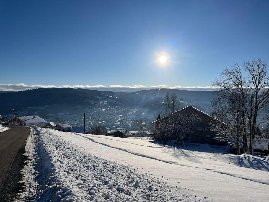 Chalet 3 Etoiles A Gerardmer. Dış mekan fotoğraf