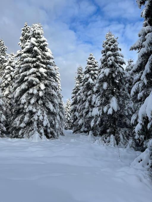 Chalet 3 Etoiles A Gerardmer. Dış mekan fotoğraf