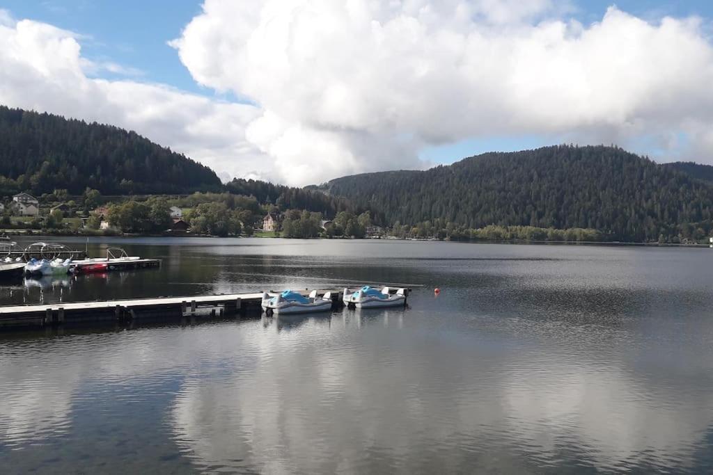 Chalet 3 Etoiles A Gerardmer. Dış mekan fotoğraf